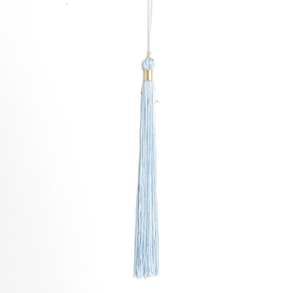 Ducks Spirit, Josten's, Bachelor & Masters, Grad, Student, Tassel, 154599, Light Blue